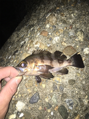 なかなか難しい