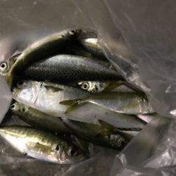 今夜は絶好調！