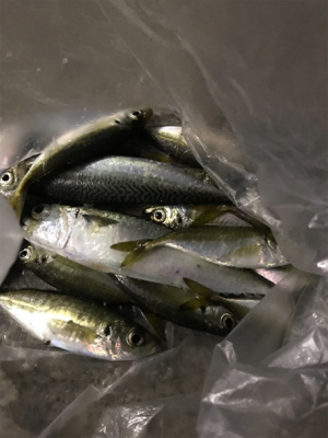 今夜は絶好調！