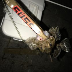 灘浜でガシリング