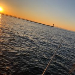 メバリング始動