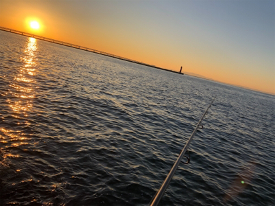 メバリング始動