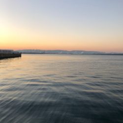 ドラゴンを求めて_:(´ཀ`」 ∠):