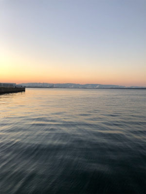 ドラゴンを求めて_:(´ཀ`」 ∠):