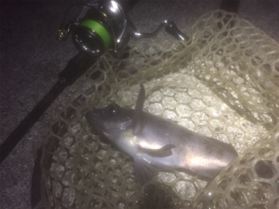 満月メバリング3days 2日目