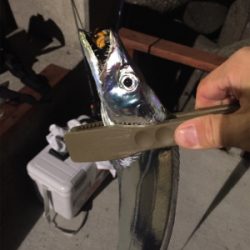 フィッシングホテルでタチウオと良型アジ