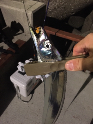 フィッシングホテルでタチウオと良型アジ