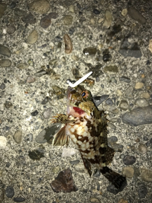 牛深ライトゲーム2