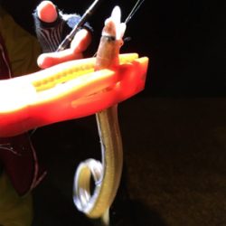 あまり釣れませんでした。