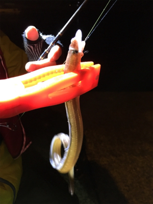 あまり釣れませんでした。