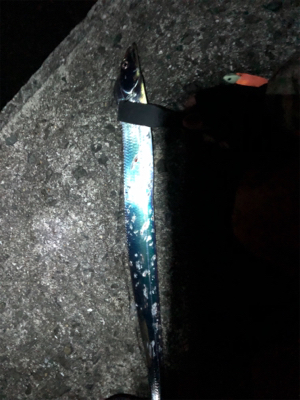 なかなかサイズ上がらず