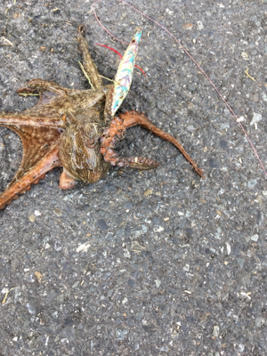 オクトパッシング