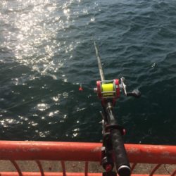 投げる・流す・スポン！