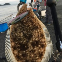 アジが私だけ釣れない(苦笑)