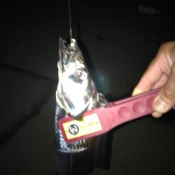 アカン、パターン！