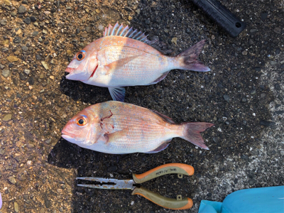 垂水漁港でファミリーフィッシング