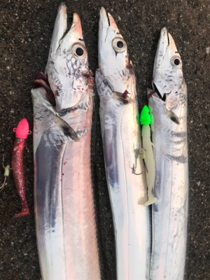 またほぼドラゴンゲット！