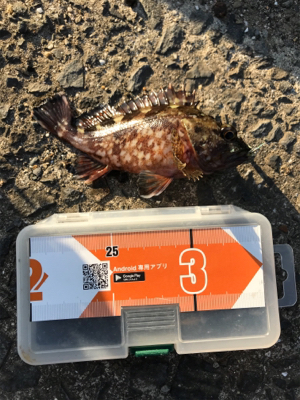 続ライトゲーム