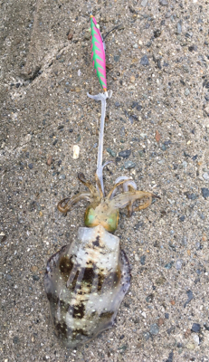 ほぼとんぼ返り