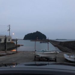 500のペットボトルよりは重いかな