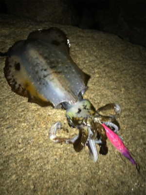 まだまだいけそう