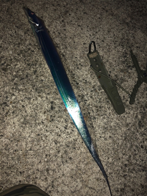 3度目の武庫一…今日は一人で