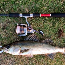 シーバサー0635〜0735メバリスト1810〜1846