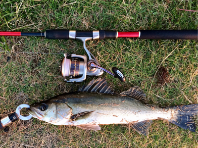 シーバサー0635〜0735メバリスト18…