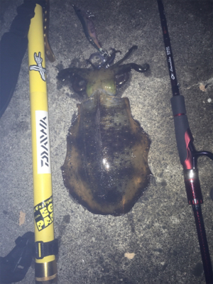 徐々にウネリが