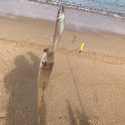 久しぶりの松原