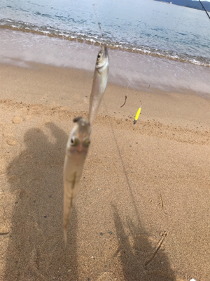 久しぶりの松原