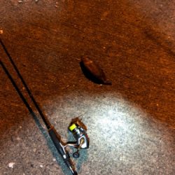 ナイトライトゲーム