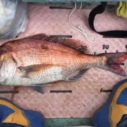 マイボートで丹後タイラバ釣行