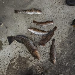 プライベートボートで 松島湾ボートロック