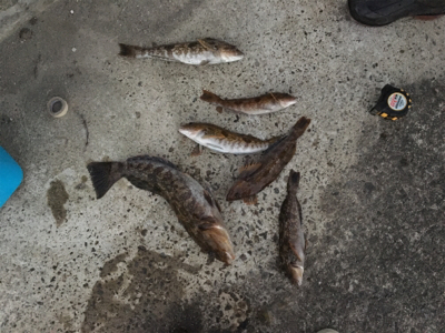 プライベートボートで 松島湾ボートロック