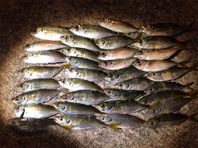 完敗からの安パイ