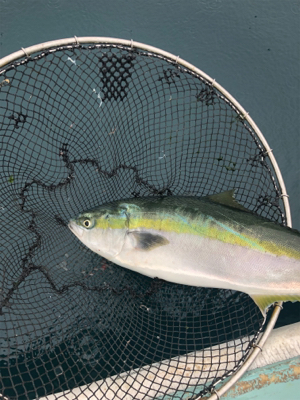 イトヨリそこそこ