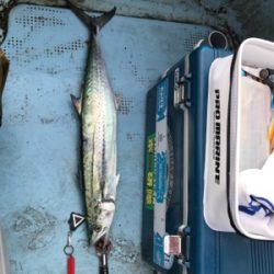 ジギング船釣行