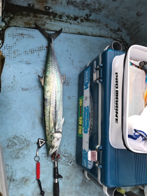 ジギング船釣行