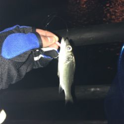 居ることはいるんですよ