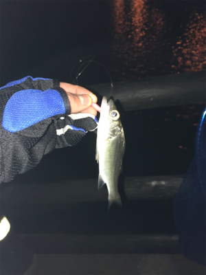 居ることはいるんですよ