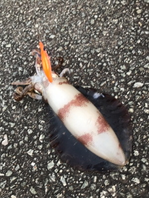 ありがとうございました！