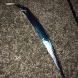 今年最後の釣り納め‼️4度目の武庫一