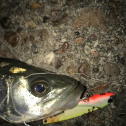 ワンバラシからのチーバス