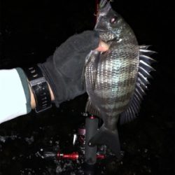 メバリングのつもりが…