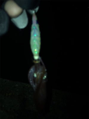 劇渋ヒイカ釣り(＞＜)