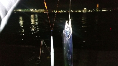 ばらしまくりでも楽しかった