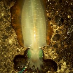 風が強いなか・・・