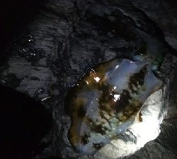 メイクミラクルドラマ