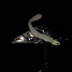 明石ワインド15